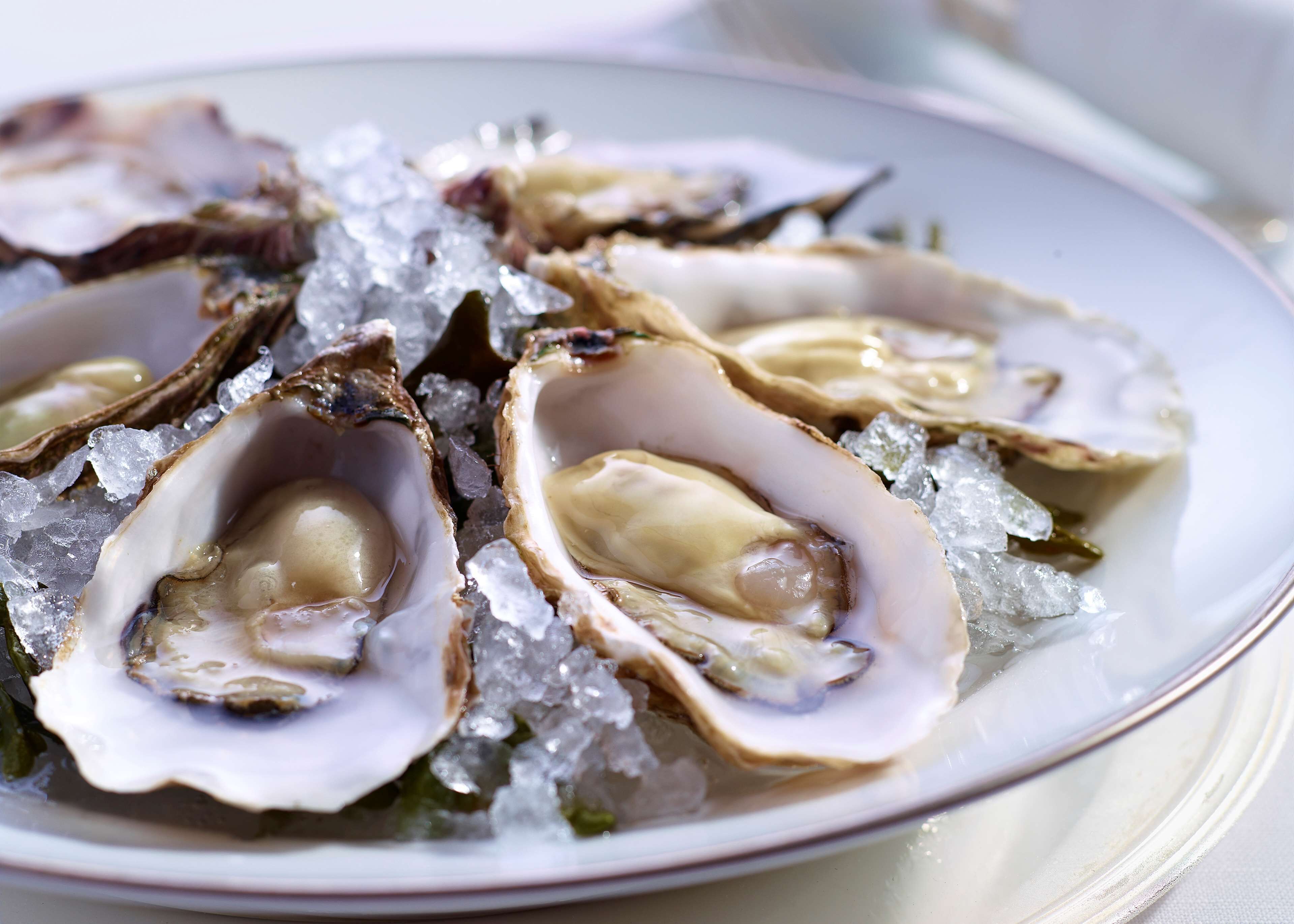 breakfast, lunch and dinner served