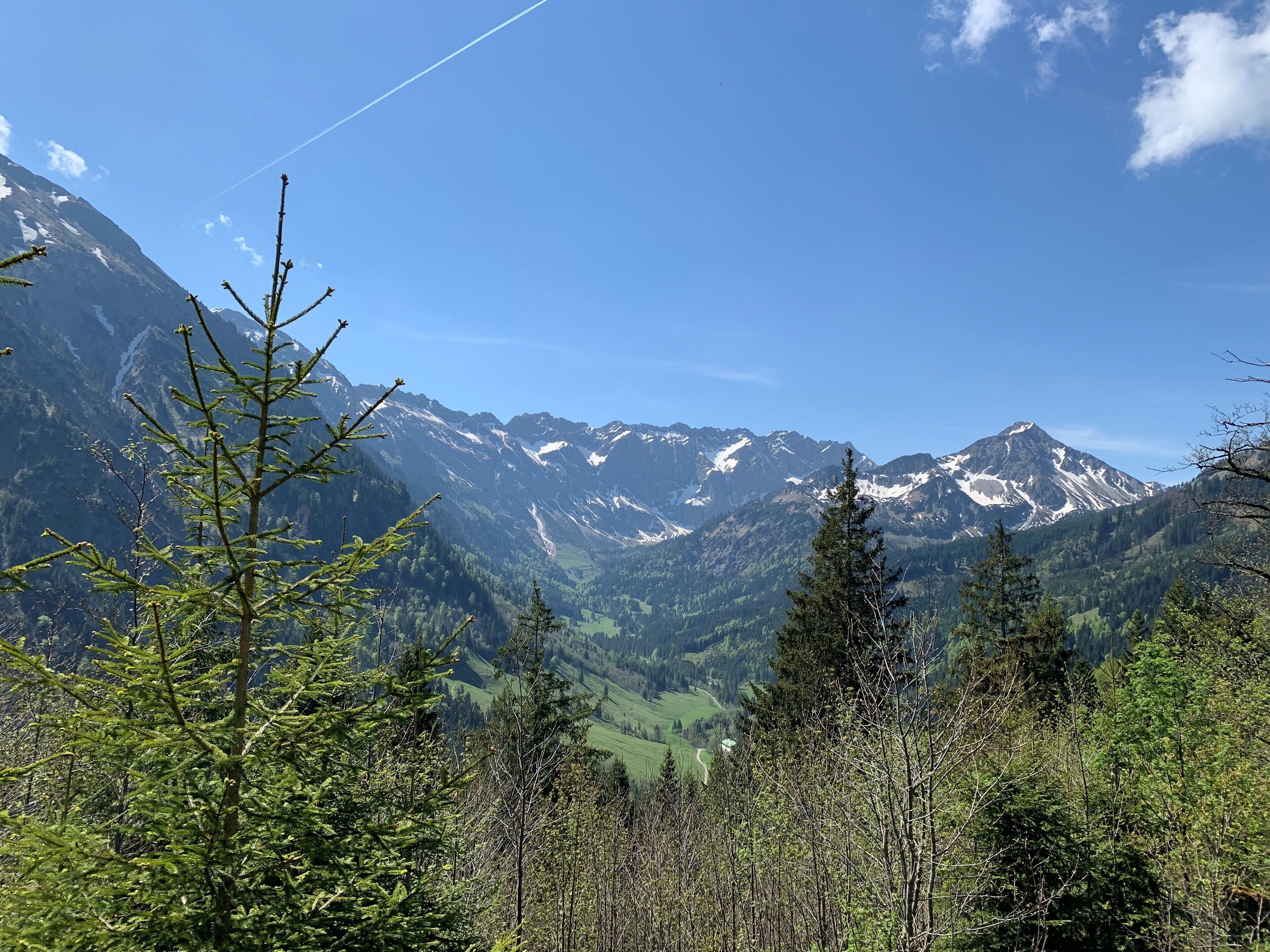 Eine gebirgige Landschaft mit schneebedeckten Gipfeln, dichtem Wald und wolkenlosem Himmel.