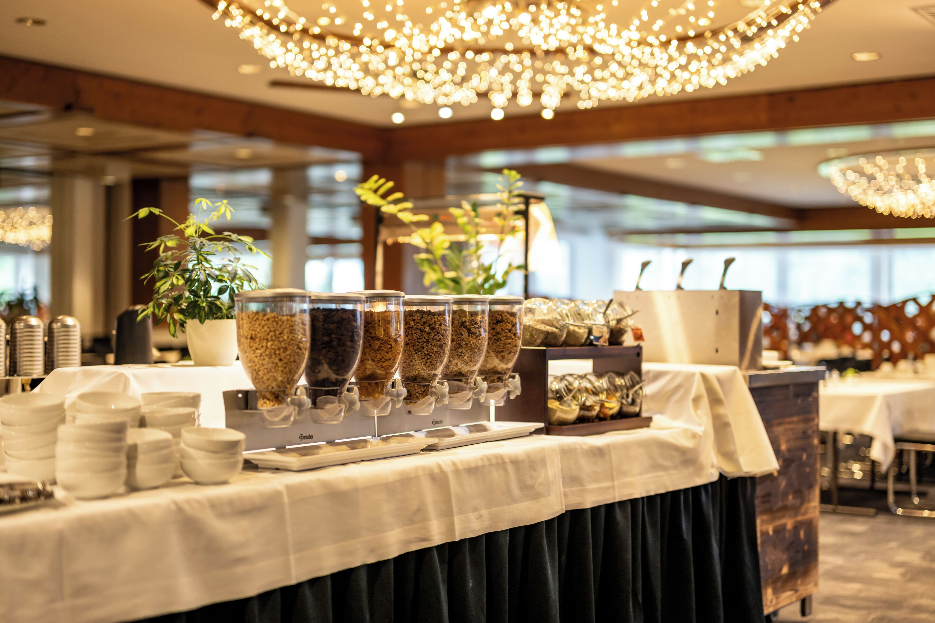 Tägliches Frühstücksbuffet (20 EUR pro Person)