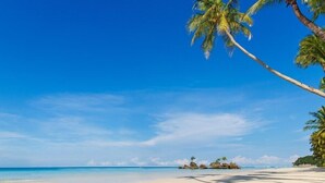 Une plage avec une eau d’un bleu limpide, un rivage sablonneux et des palmiers.