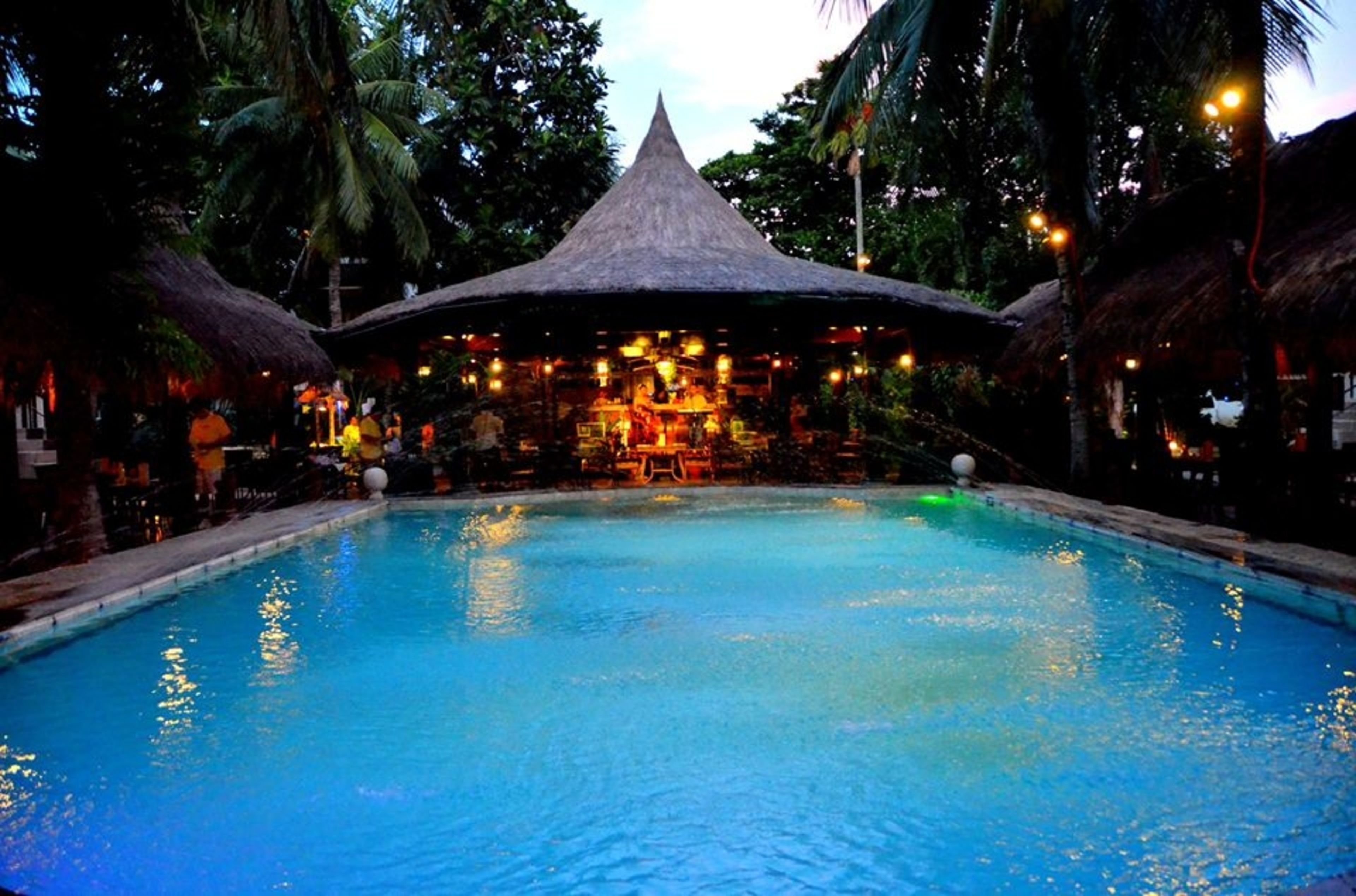A pool area with a thatched-roof structure, surrounded by palm trees and a bar area with lights.