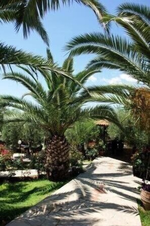 Áreas de la propiedad