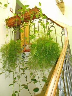 Escala