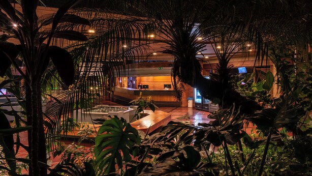 An indoor reception area with a reception desk, seating area, and various plants.