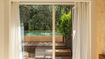 Deluxe Room (DELUXE DOUBLE ROOM WITH PRIVATE POOL) | View from room