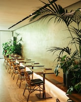 Café da manhã, almoço e jantar