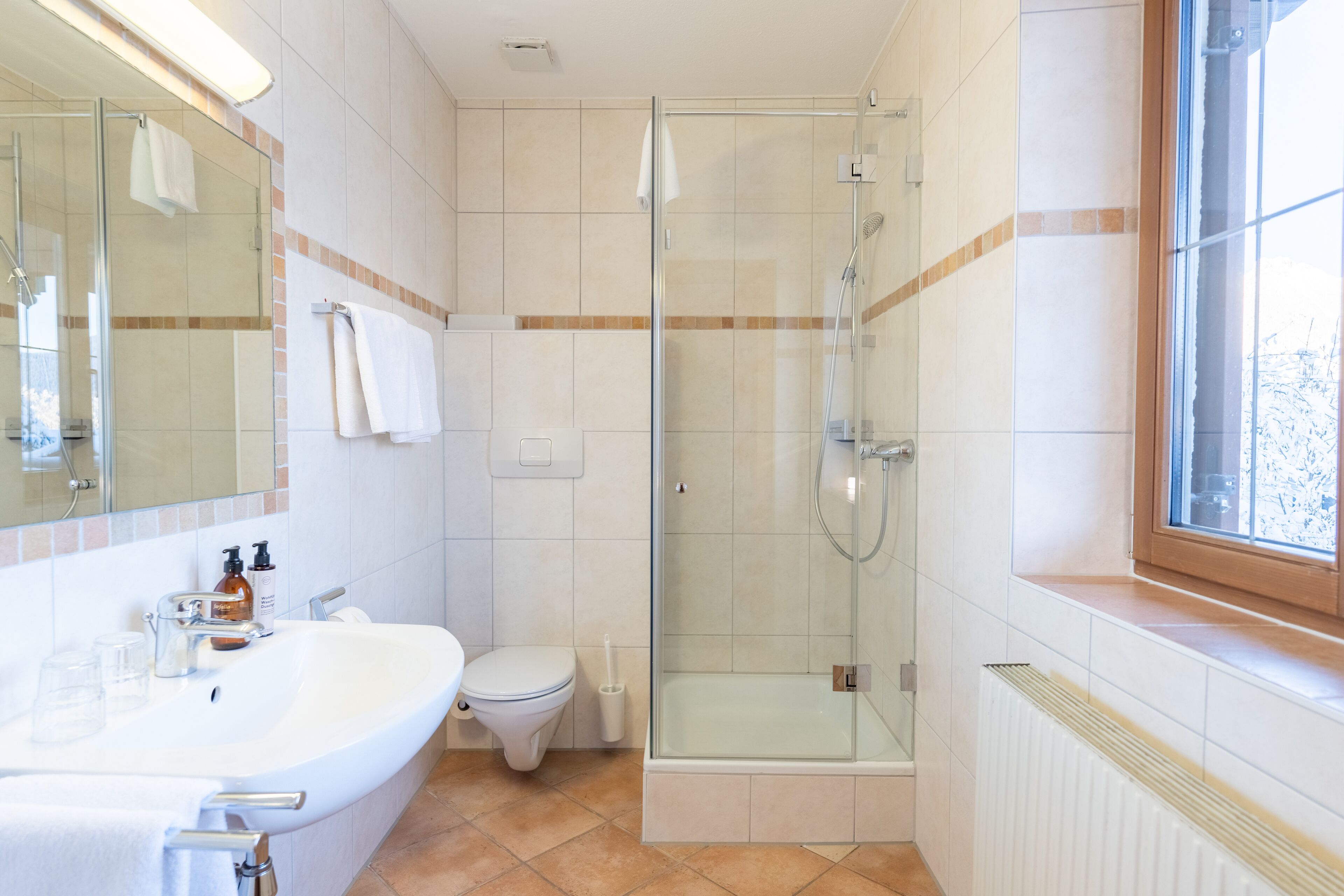 Un baño con ducha de vidrio, lavabo blanco y retrete.