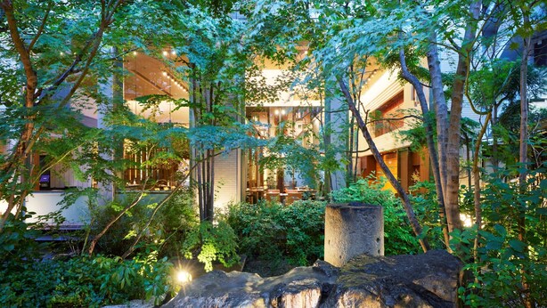 A serene garden with a waterfall, lush greenery, and a modern building with large windows.