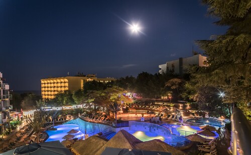 Cooee Mimosa Sunshine