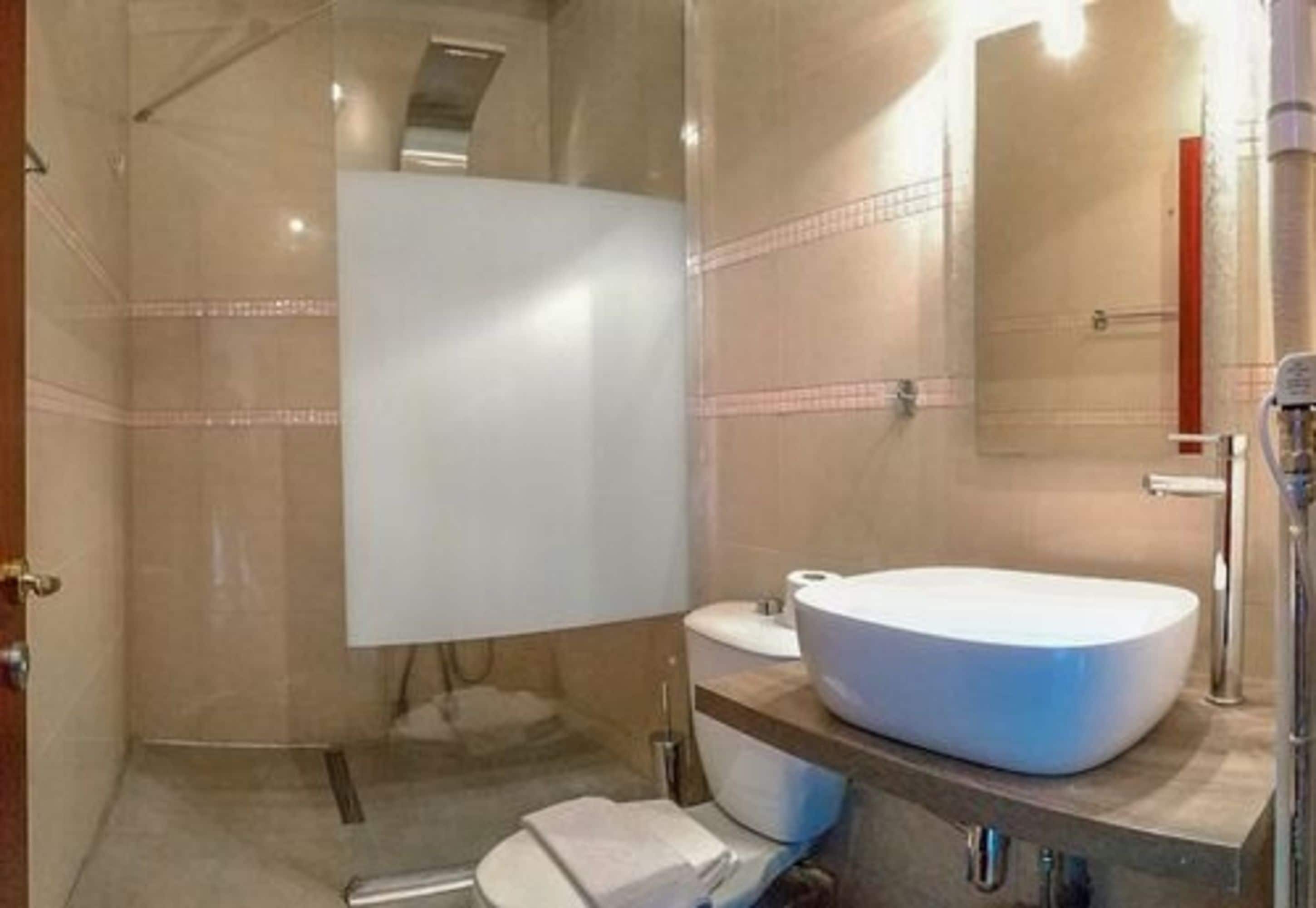 A modern bathroom with a large white sink, a toilet, and a shower area.