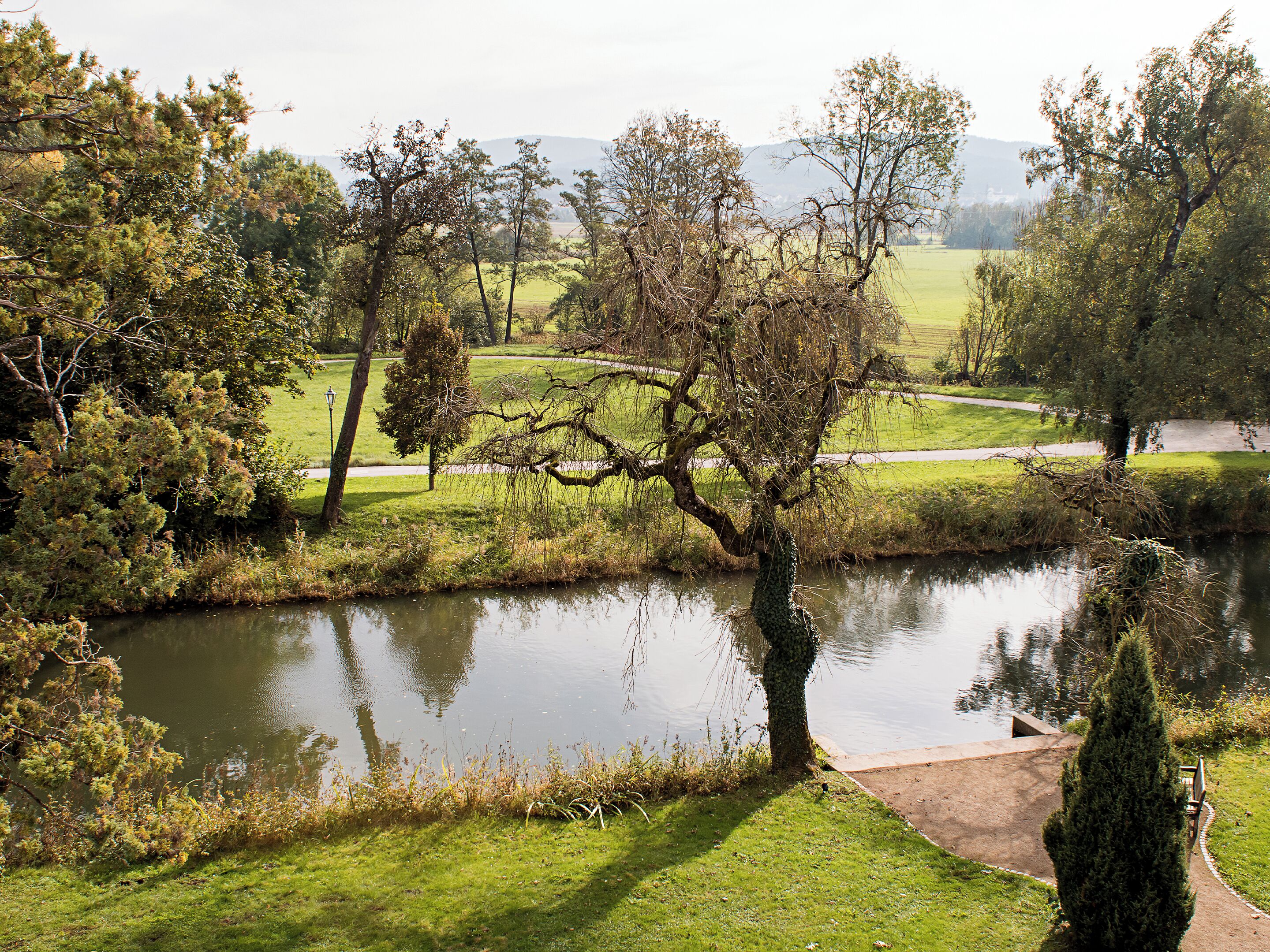 A serene park with a pond, pathways, and trees.