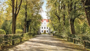 A paved pathway flanked by trees leading to a white building with a red roof.