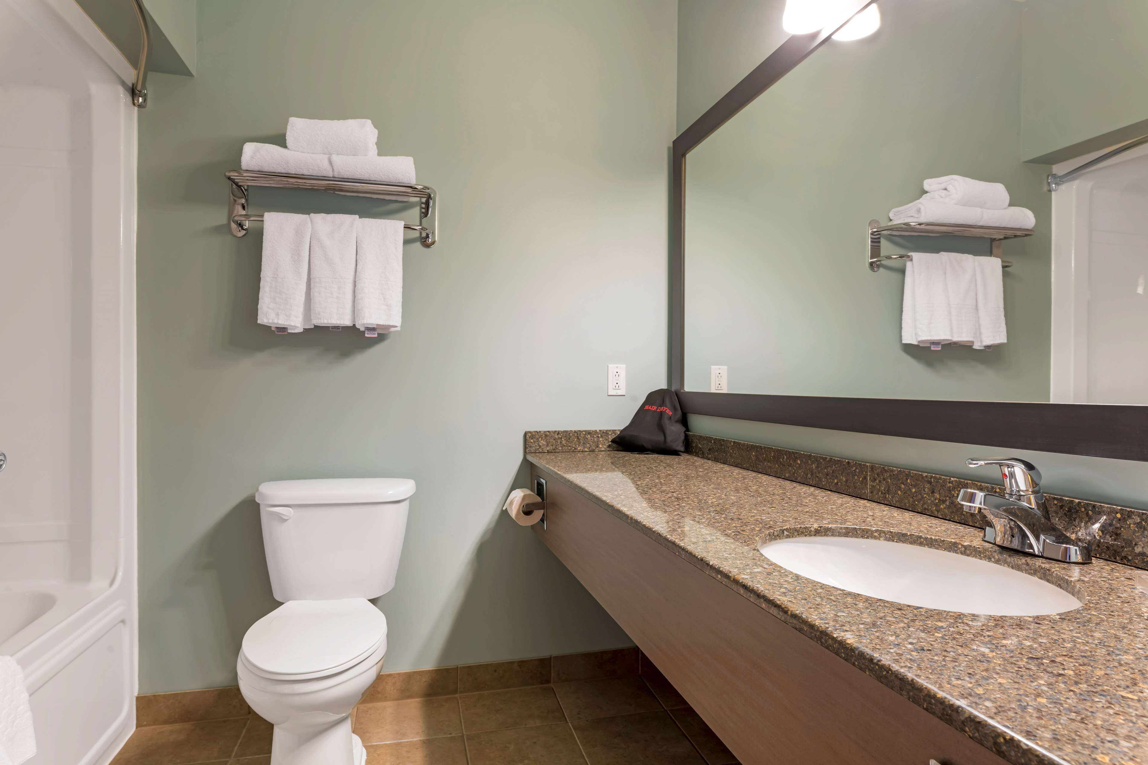 A bathroom with a white toilet, a sink with a granite countertop, and a mirror above the sink.