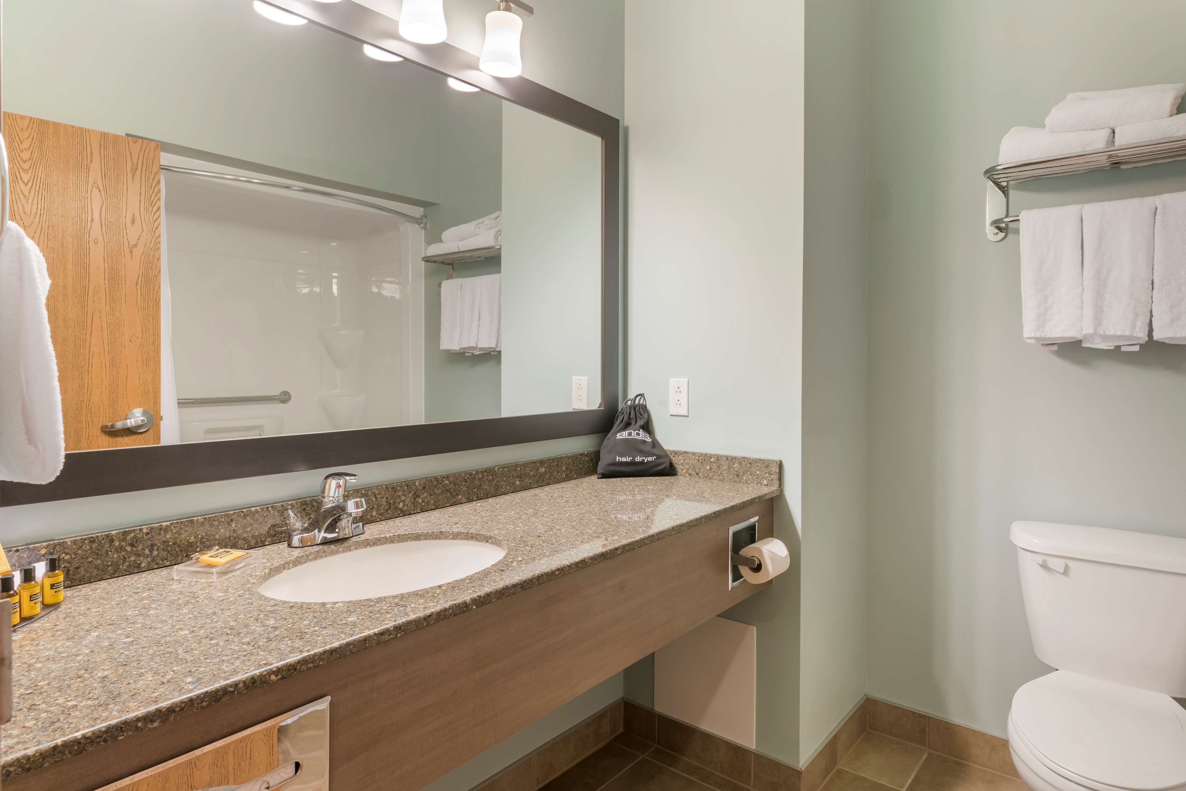 combined shower/bathtub, free toiletries, hair dryer, towels