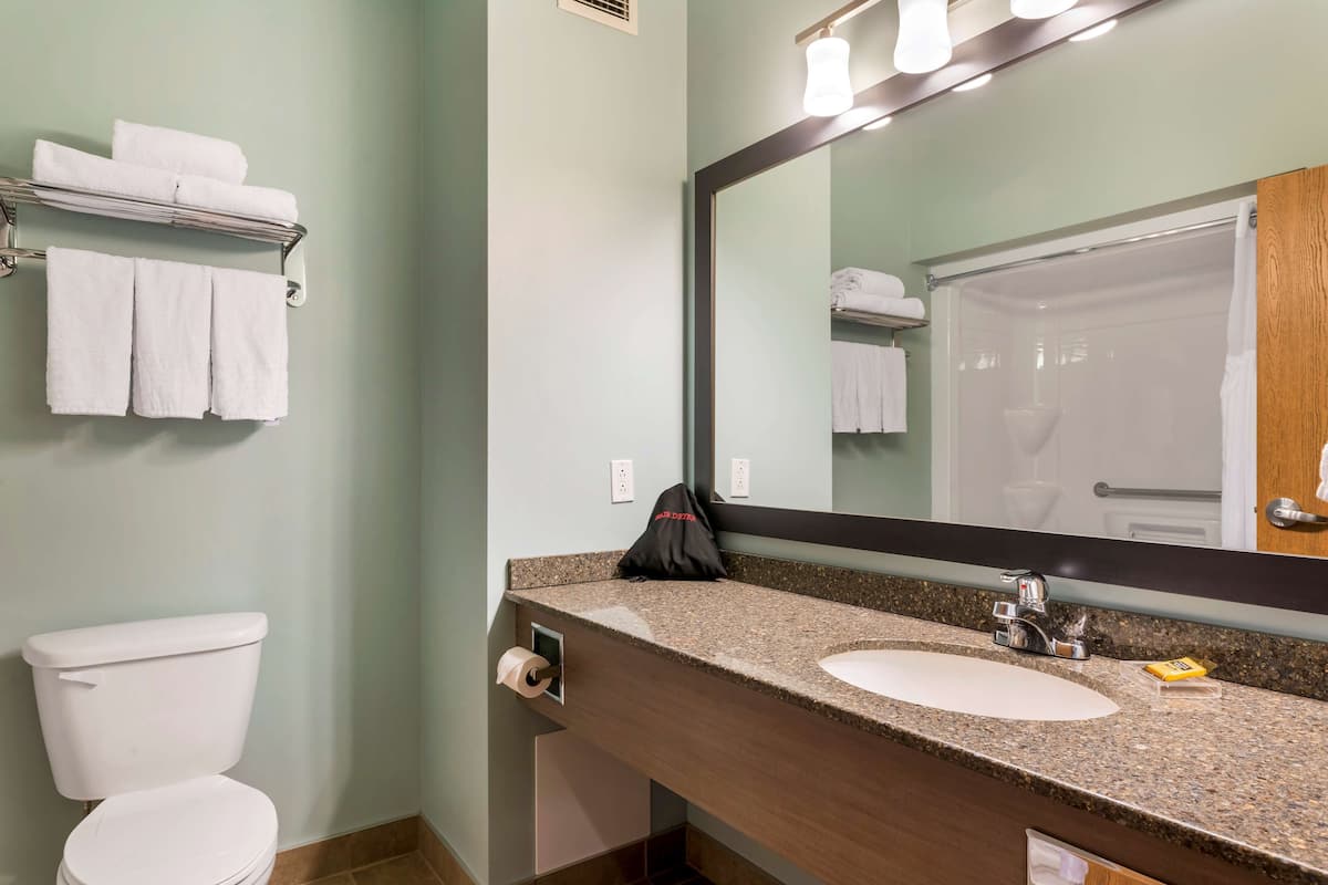 combined shower/bathtub, free toiletries, hair dryer, towels