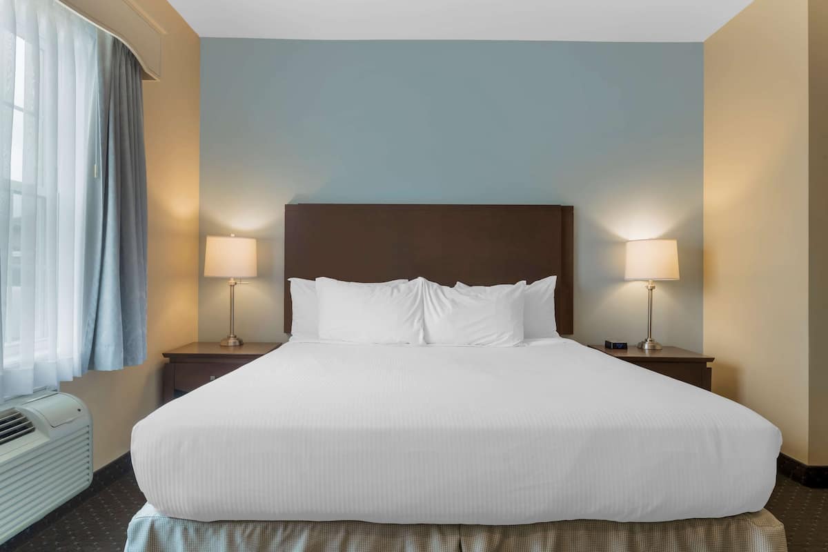 A large bed with white linens, two bedside lamps, and a window with sheer curtains.