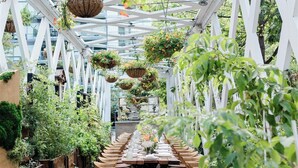 A greenhouse with a long table and chairs, surrounded by hanging planters and greenery. - 1 Hotel Toronto (Toronto)