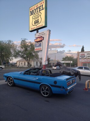 مواقف سيارات مجانية