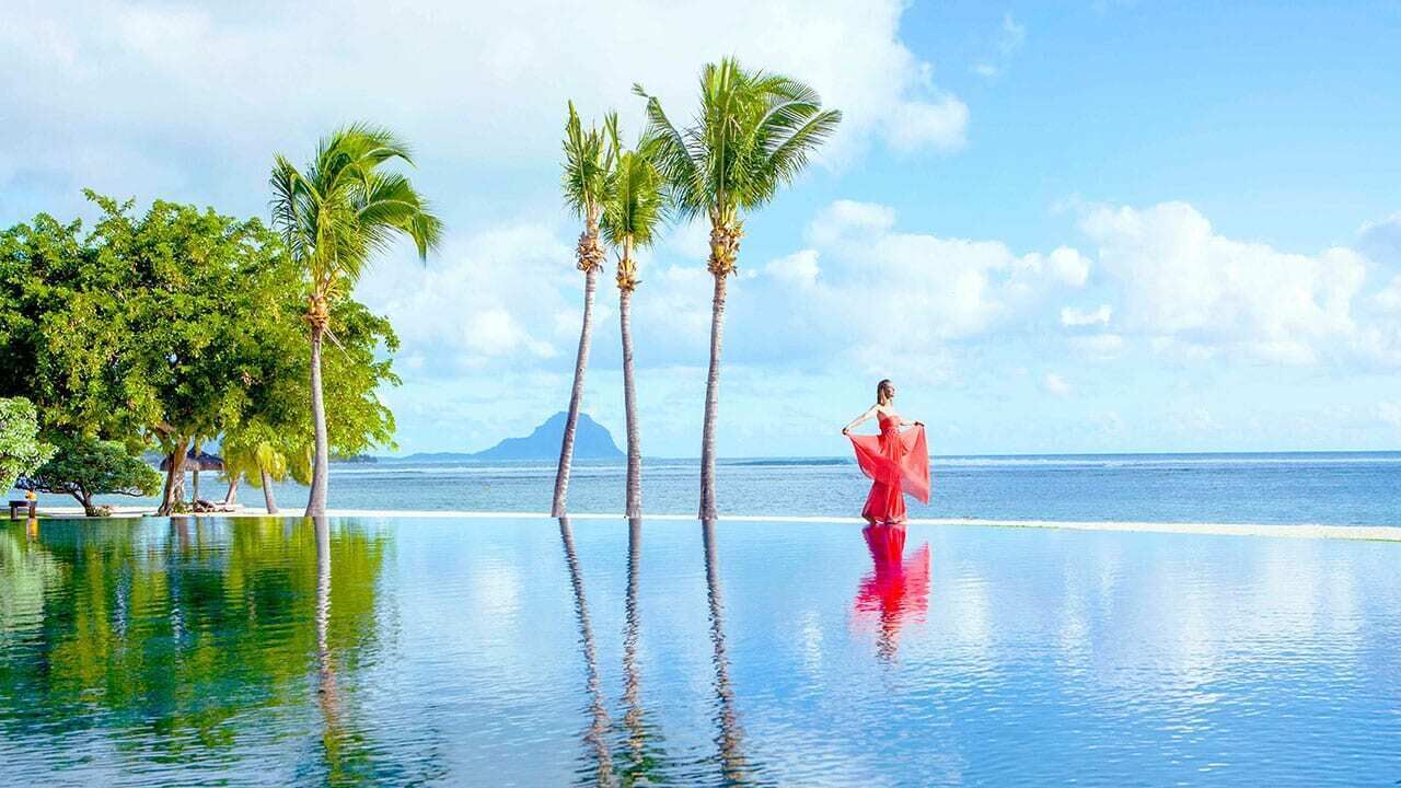 A poolside view with palm trees and a clear sky.