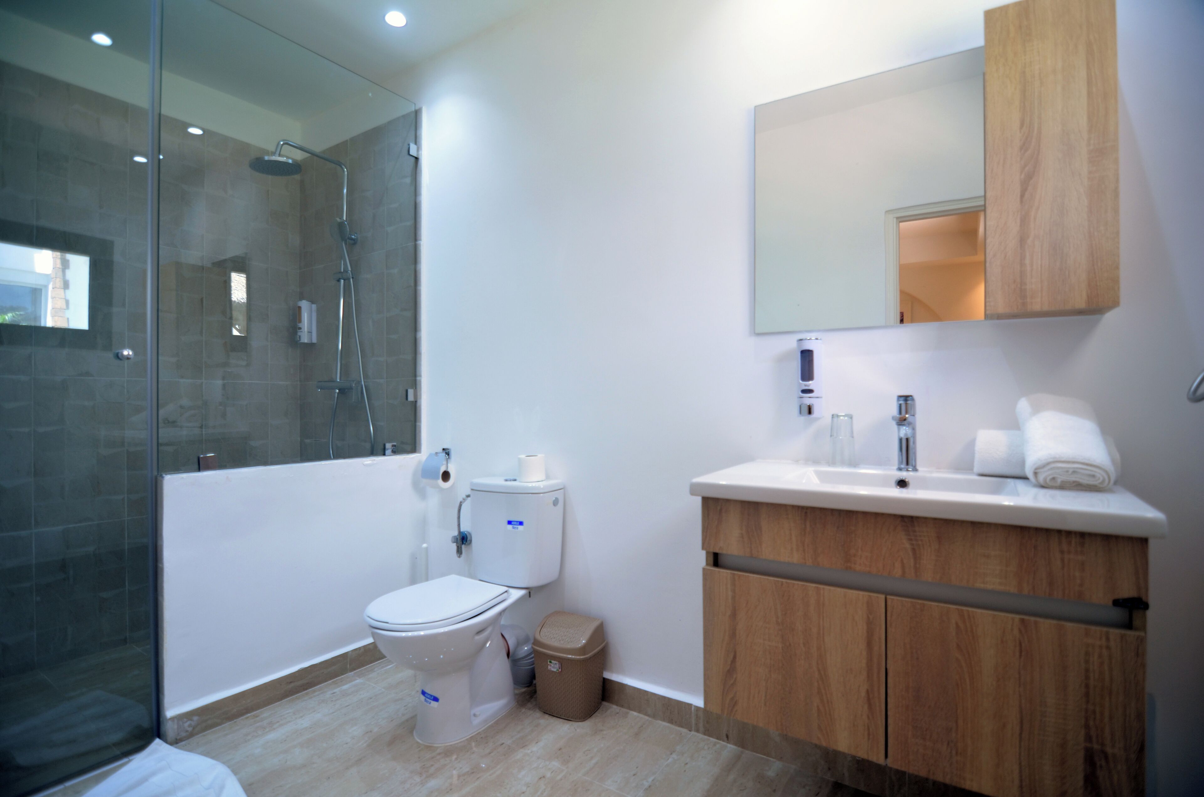 A modern bathroom with a glass shower enclosure, a white toilet, a wooden vanity with a mirror, and a white sink.