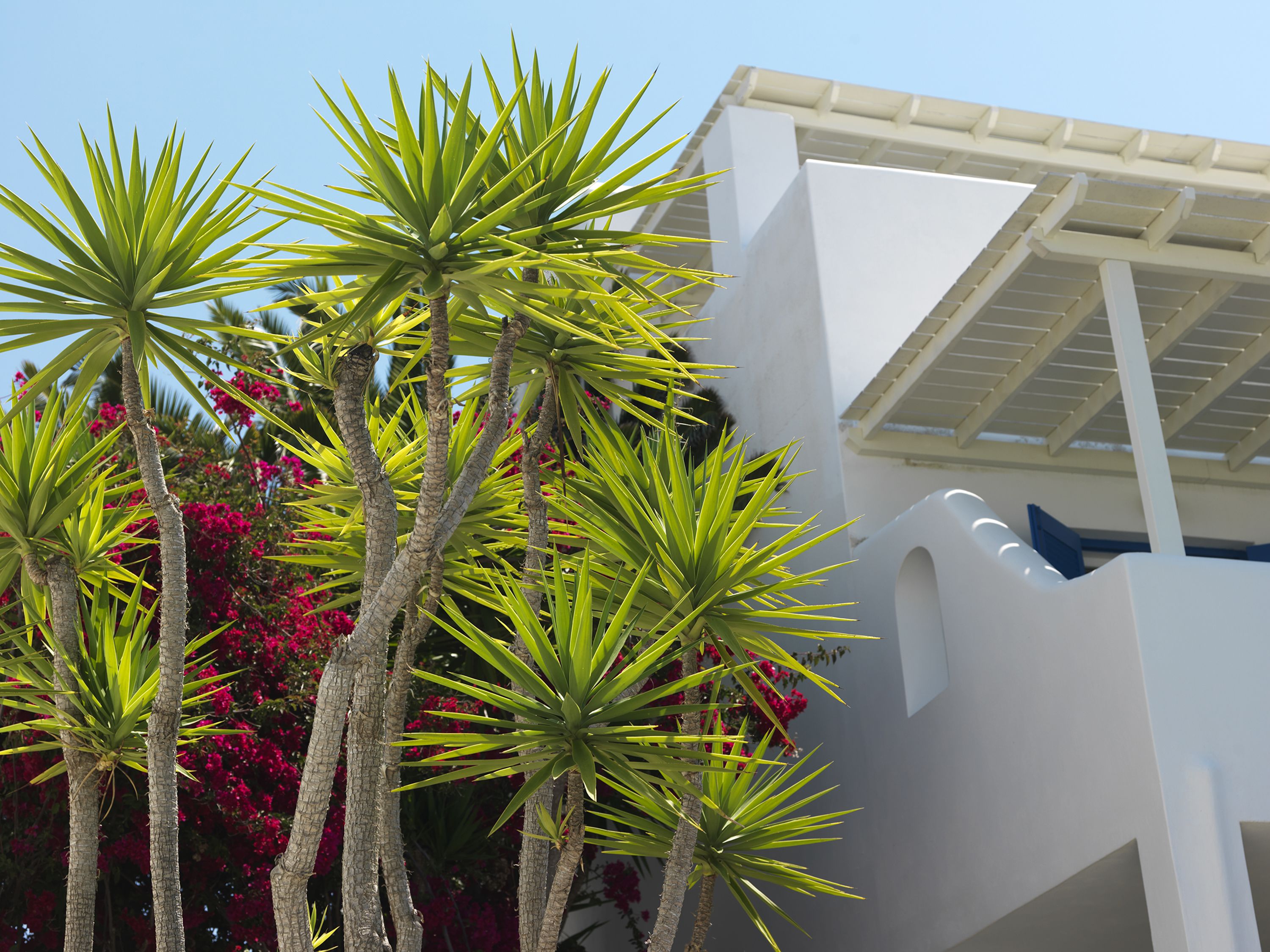 Photo - Aloni Hotel & Suites