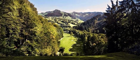 Un campo de golf con vistas a colinas ondulantes y bosques densos.