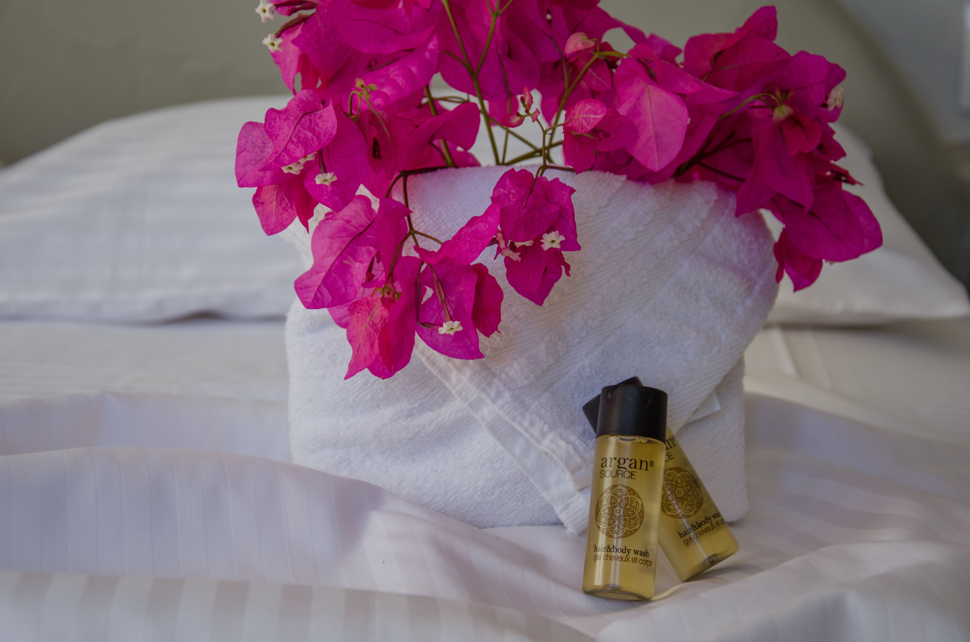 superior twin room, 1 bedroom, non smoking, sea view | bathroom | shower, eco-friendly toiletries, hair dryer, towels