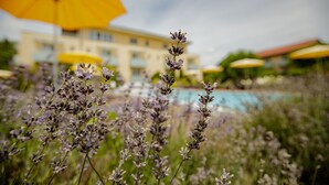 Une zone avec une piscine, des parasols et un bâtiment en arrière-plan.