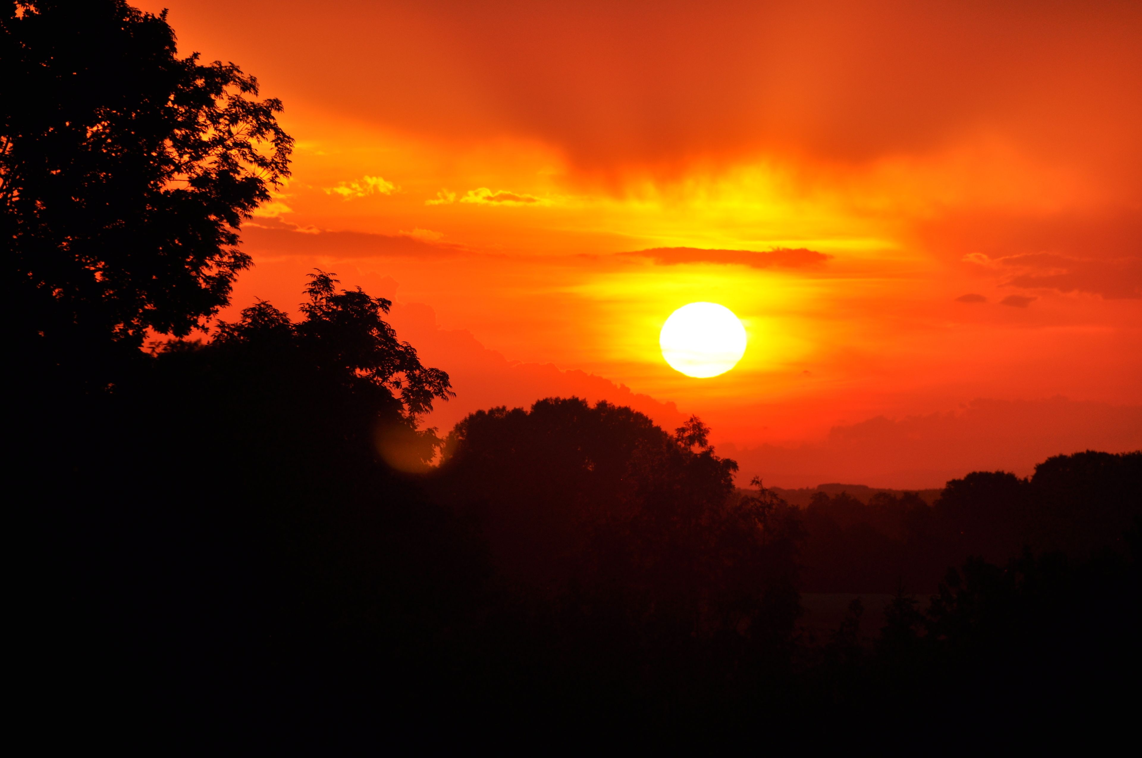 A sunset with a bright sun and silhouetted trees.