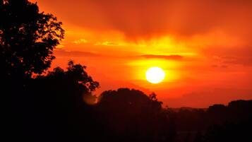 A sunset with a bright sun and silhouetted trees.
