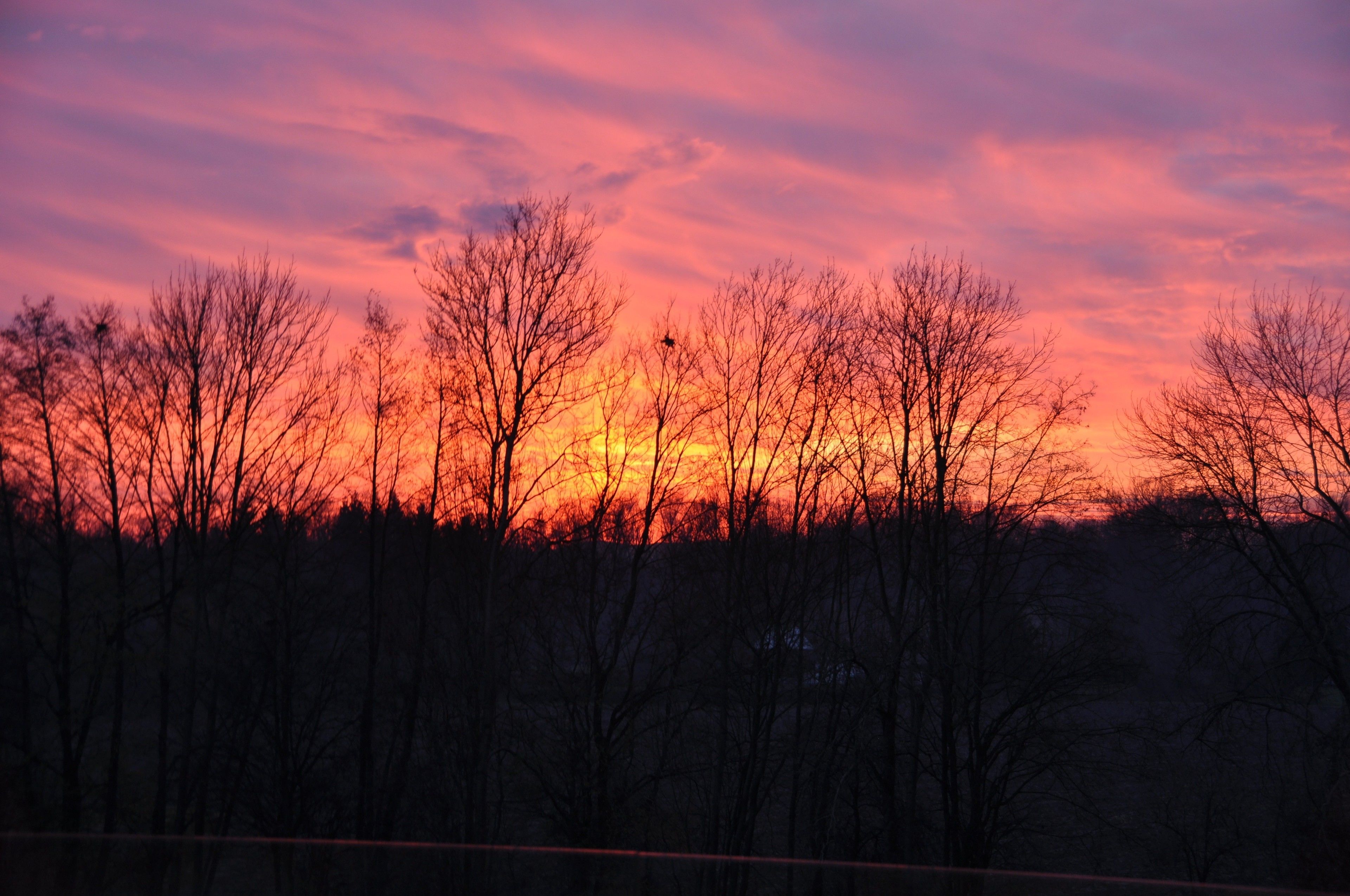 A sunset over a forest with bare trees silhouetted against a vibrant sky.