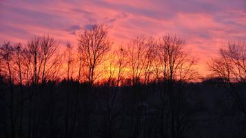 A sunset over a forest with bare trees silhouetted against a vibrant sky.