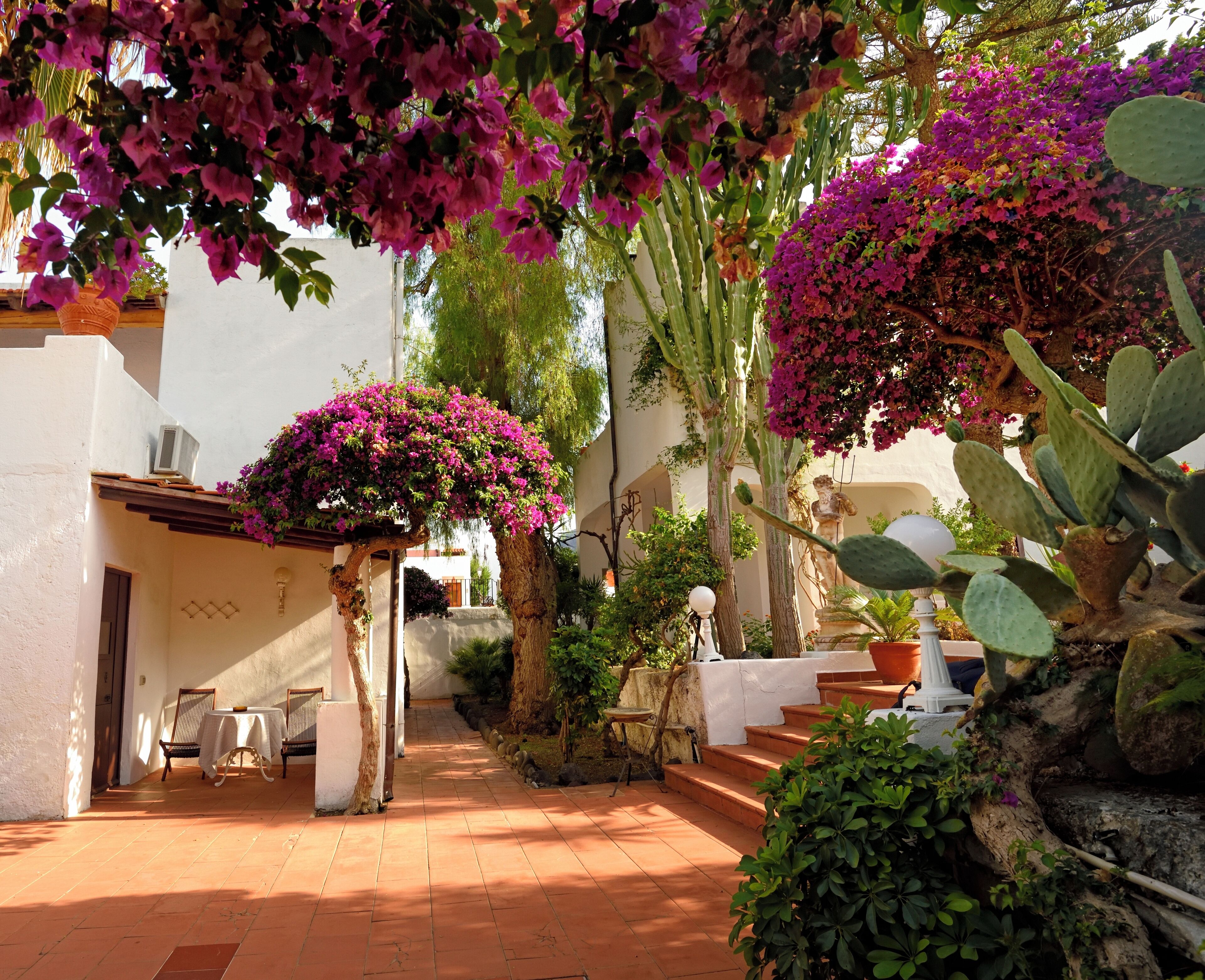 A courtyard with a white building, a table with chairs, and a cactus plant.