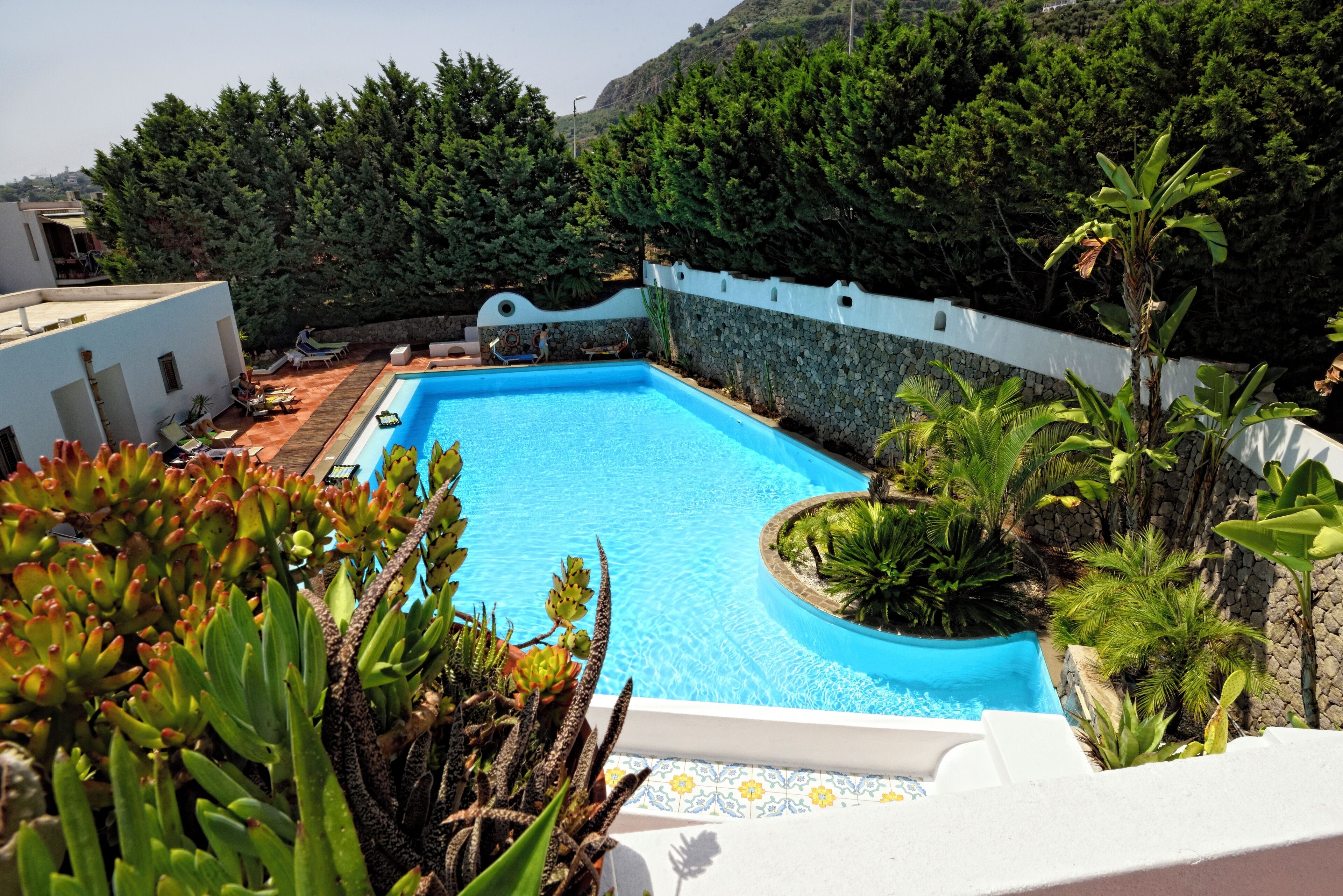Piscina rodeada de abundante vegetación y un muro blanco.