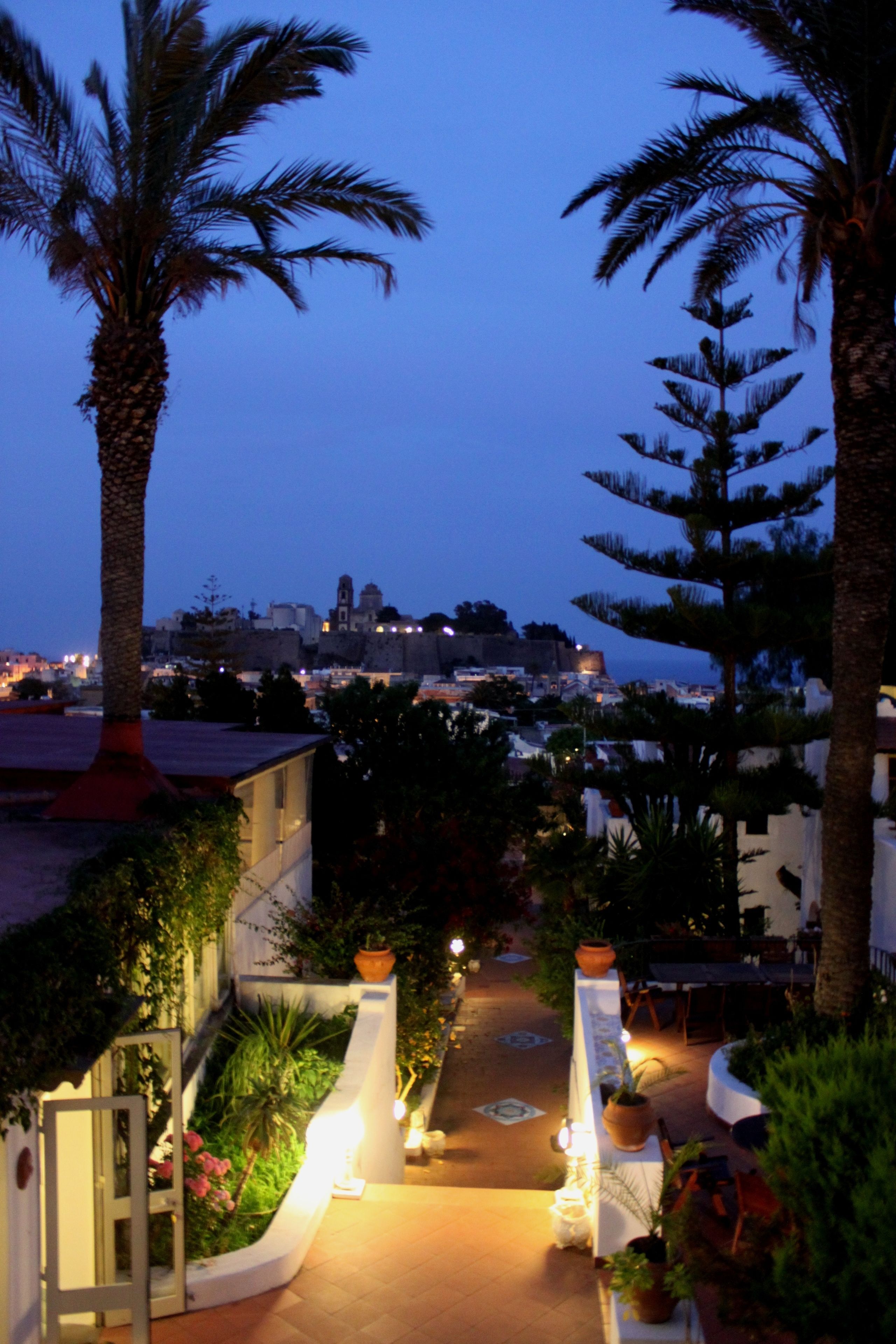 A nighttime view of a coastal area with palm trees, a pathway lined with potted plants, and a distant cityscape with illuminated buildings.