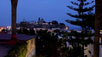 A nighttime view of a coastal area with palm trees, a pathway lined with potted plants, and a distant cityscape with illuminated buildings.