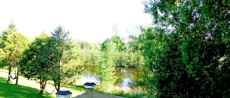 Deluxe Studio | View from room