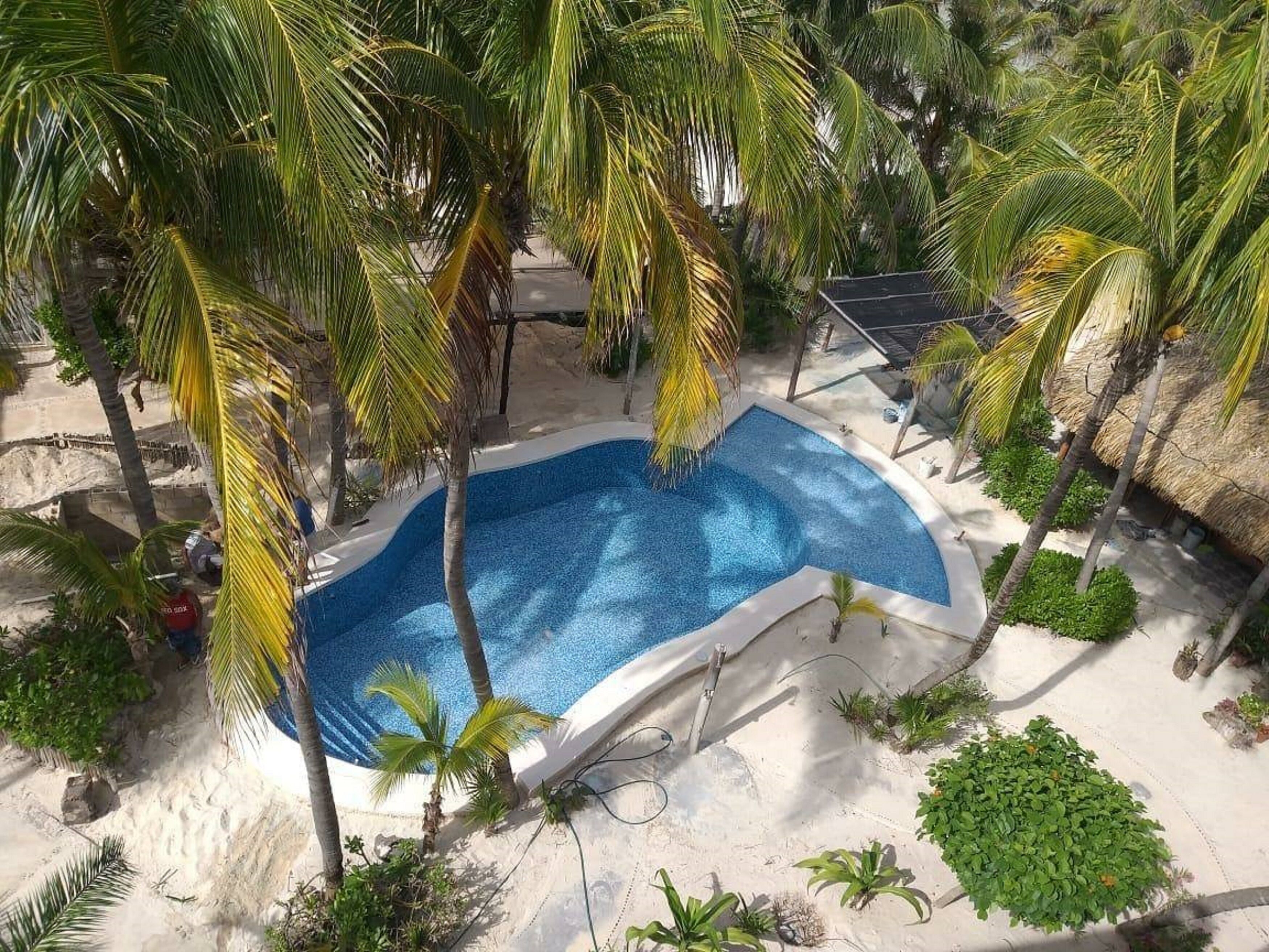 Piscina cercada por palmeiras e uma construção com telhado de palha.