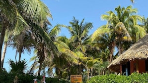 Une piscine entourée de palmiers et une cabane à toit de chaume.