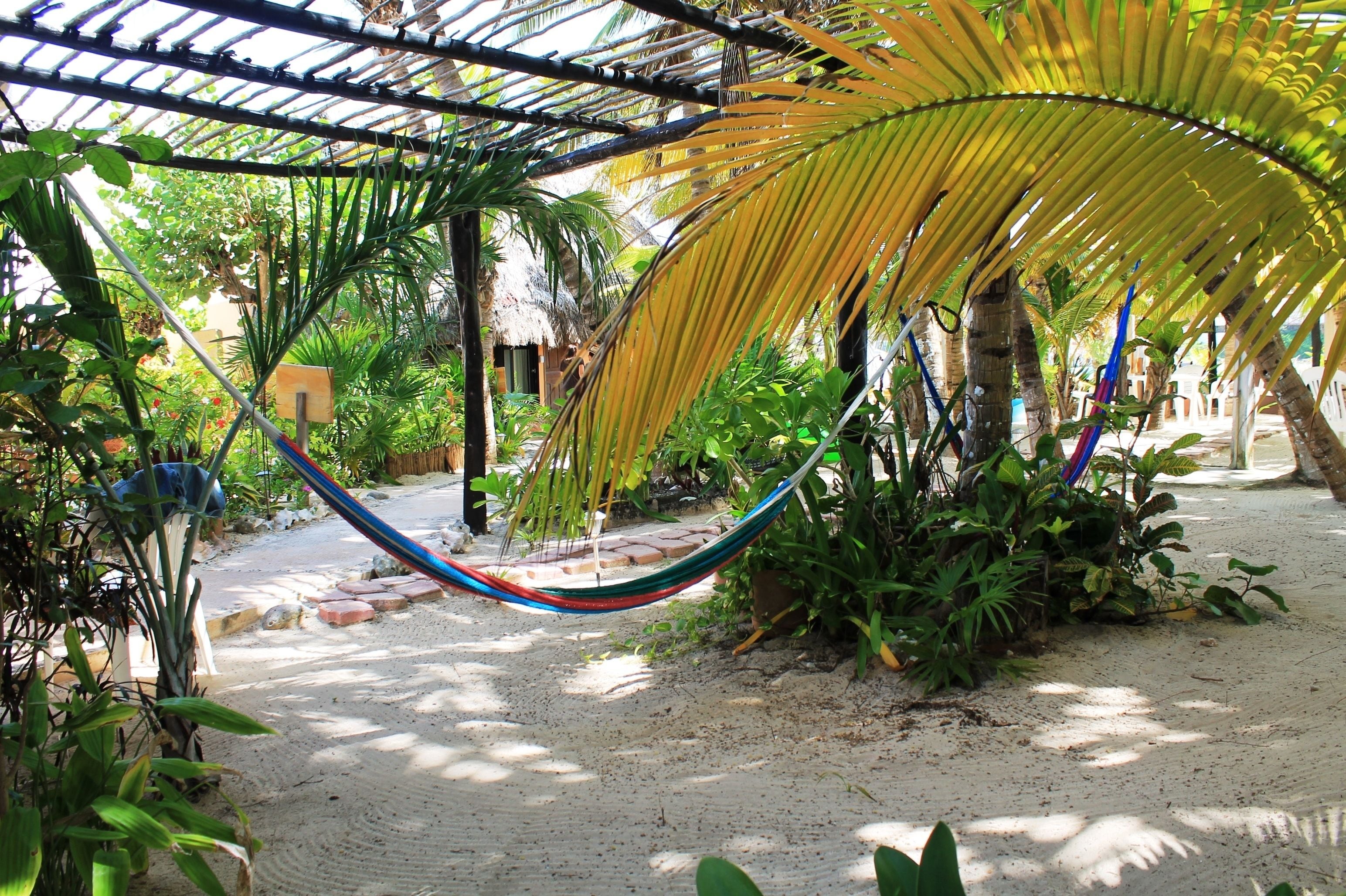 Photo - Hotel Villa Kiin