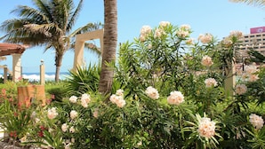 Un jardin agrémenté de palmiers et de plantes à fleurs.