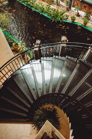 A spiral staircase with a view of a koi pond and potted plants.