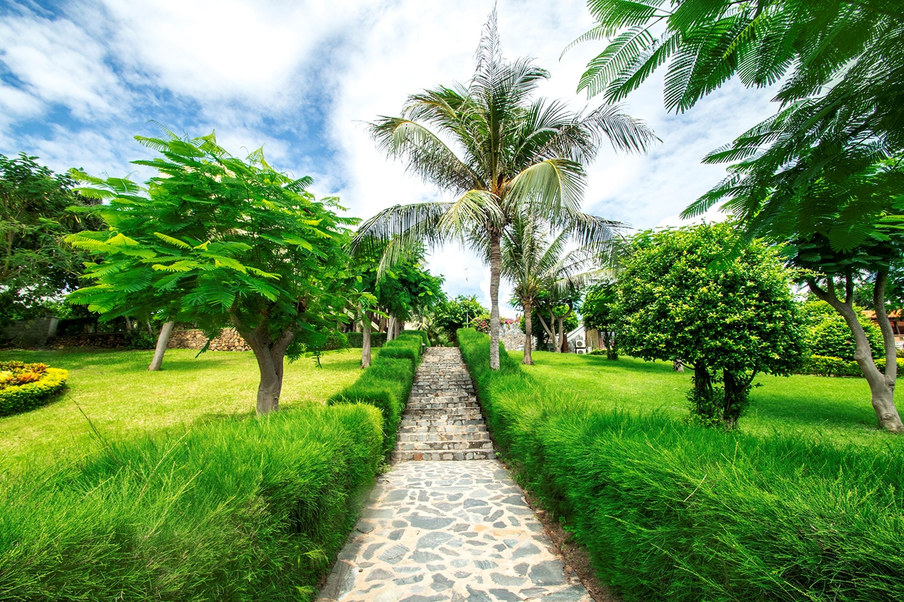 A stone pathway leading through a lush garden with palm trees and green foliage.