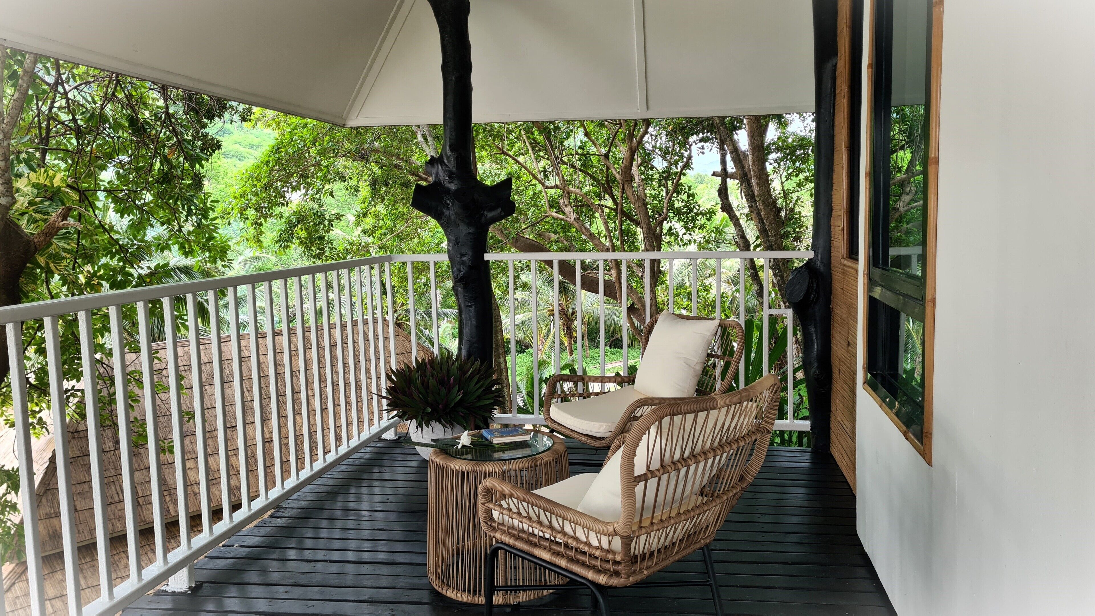 A covered balcony with wicker furniture and a potted plant.