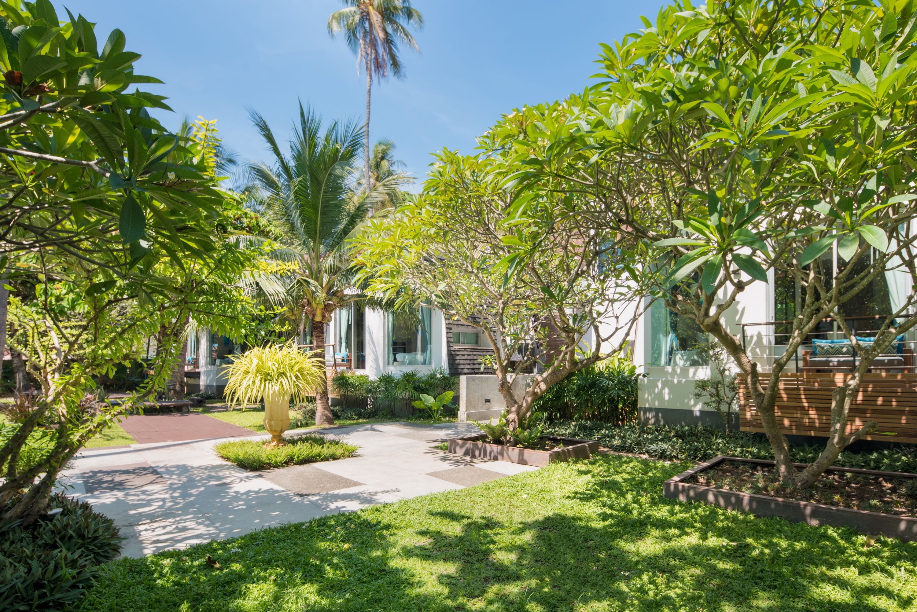 i garden | view from room