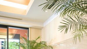 Un hall con mostrador de recepción, dos sillones, una palmera en maceta y un gran ventanal que da al exterior.