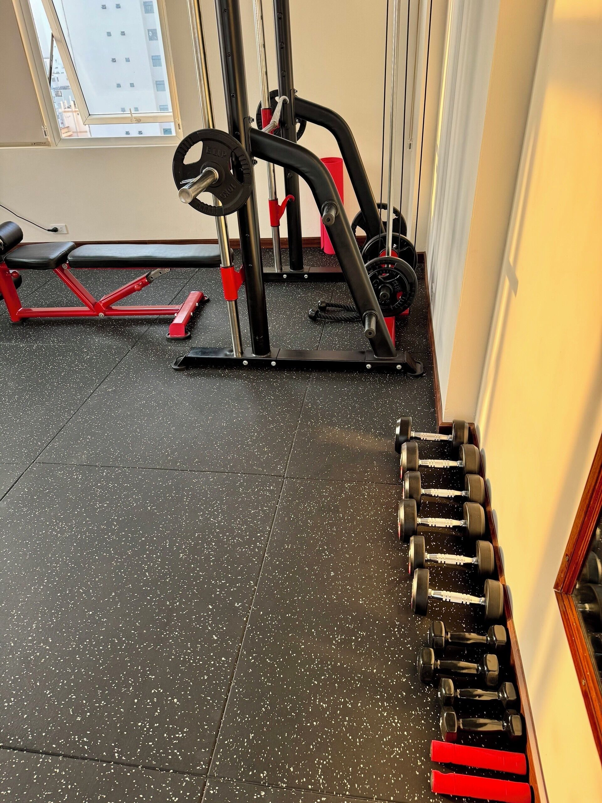 A gym with a squat rack, bench press, and dumbbells.