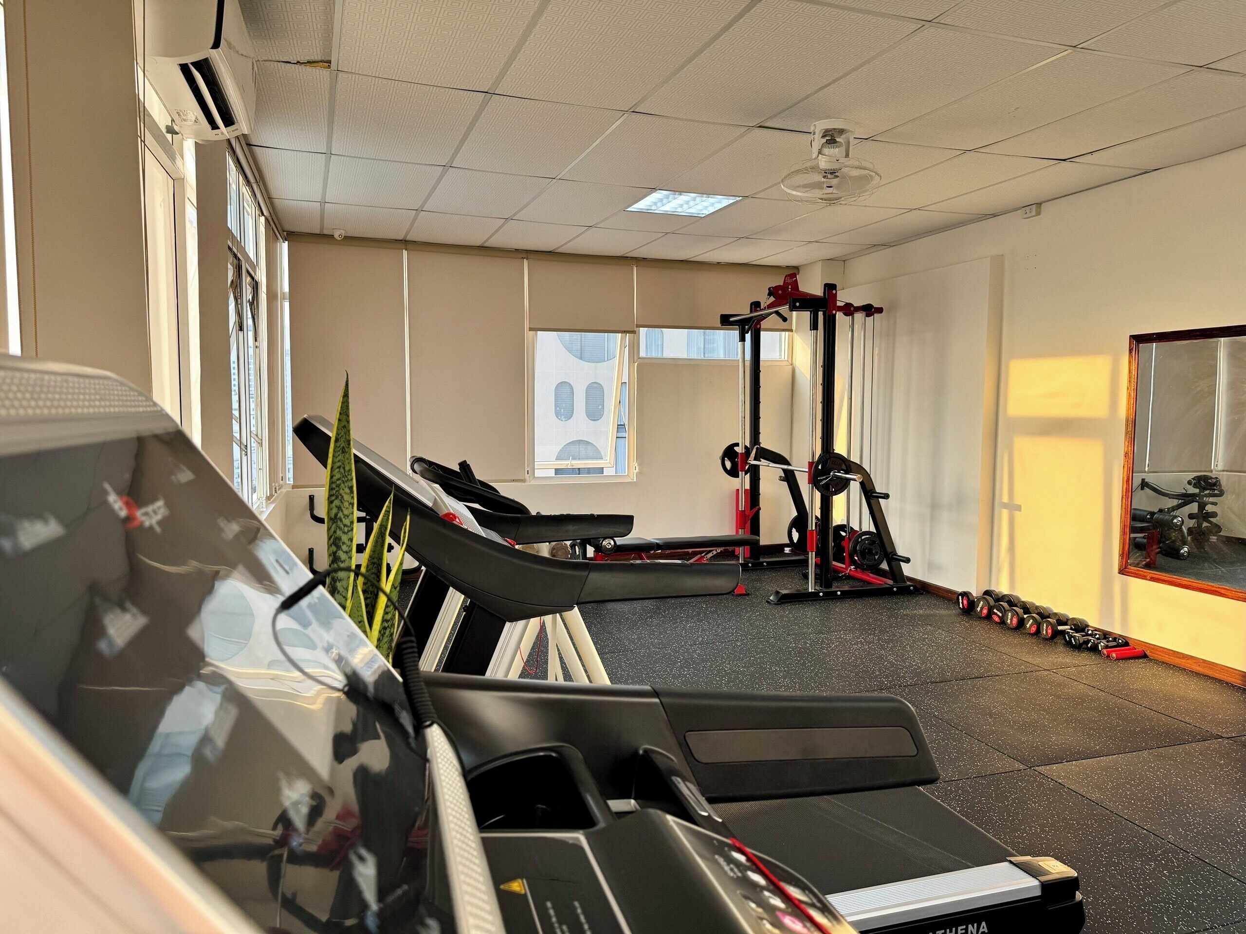 A gym with treadmills, weight machines, and a mirror.