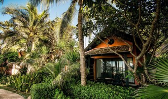 Minibar, caja de seguridad en la habitación y escritorio 