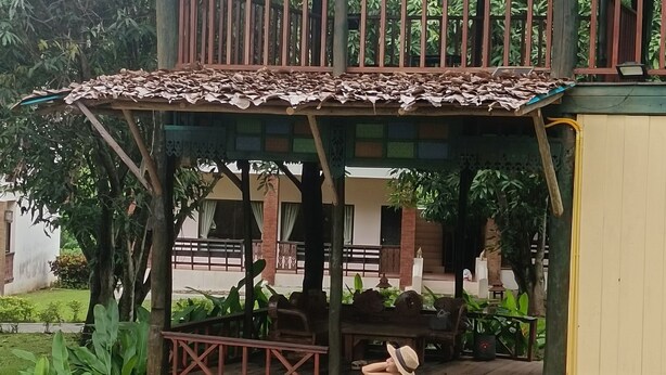 Un espacio al aire libre cubierto con piscina, una estructura de techo de paja y follaje circundante.